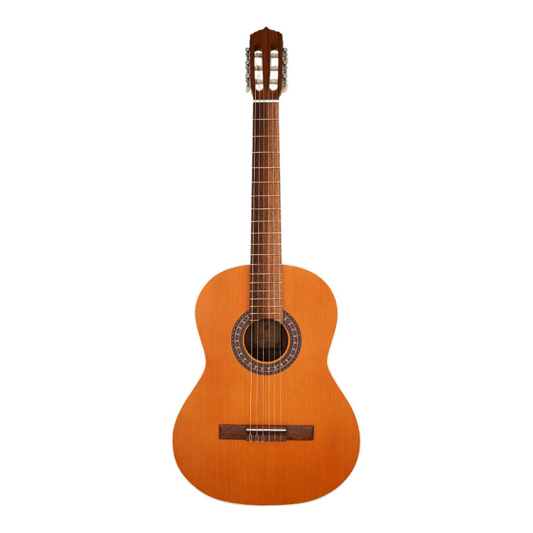 گیتار کلاسیک پارسی مدل Parsi m5